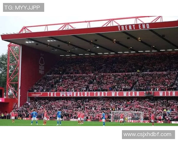 沃尔夫斯堡主场大胜法兰克福，势不可挡！