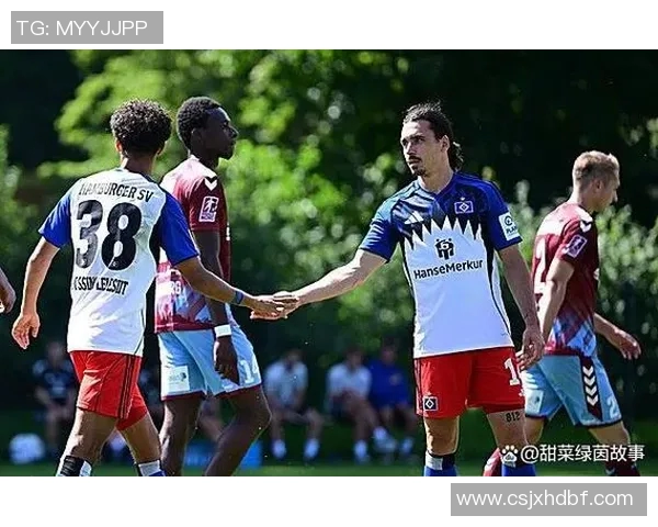 汉堡队与门兴格拉德巴赫的精彩对决全景解说与战术分析